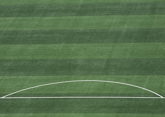 今天一条龙破门！这动作幅度，这过人摆脱后的射门，...